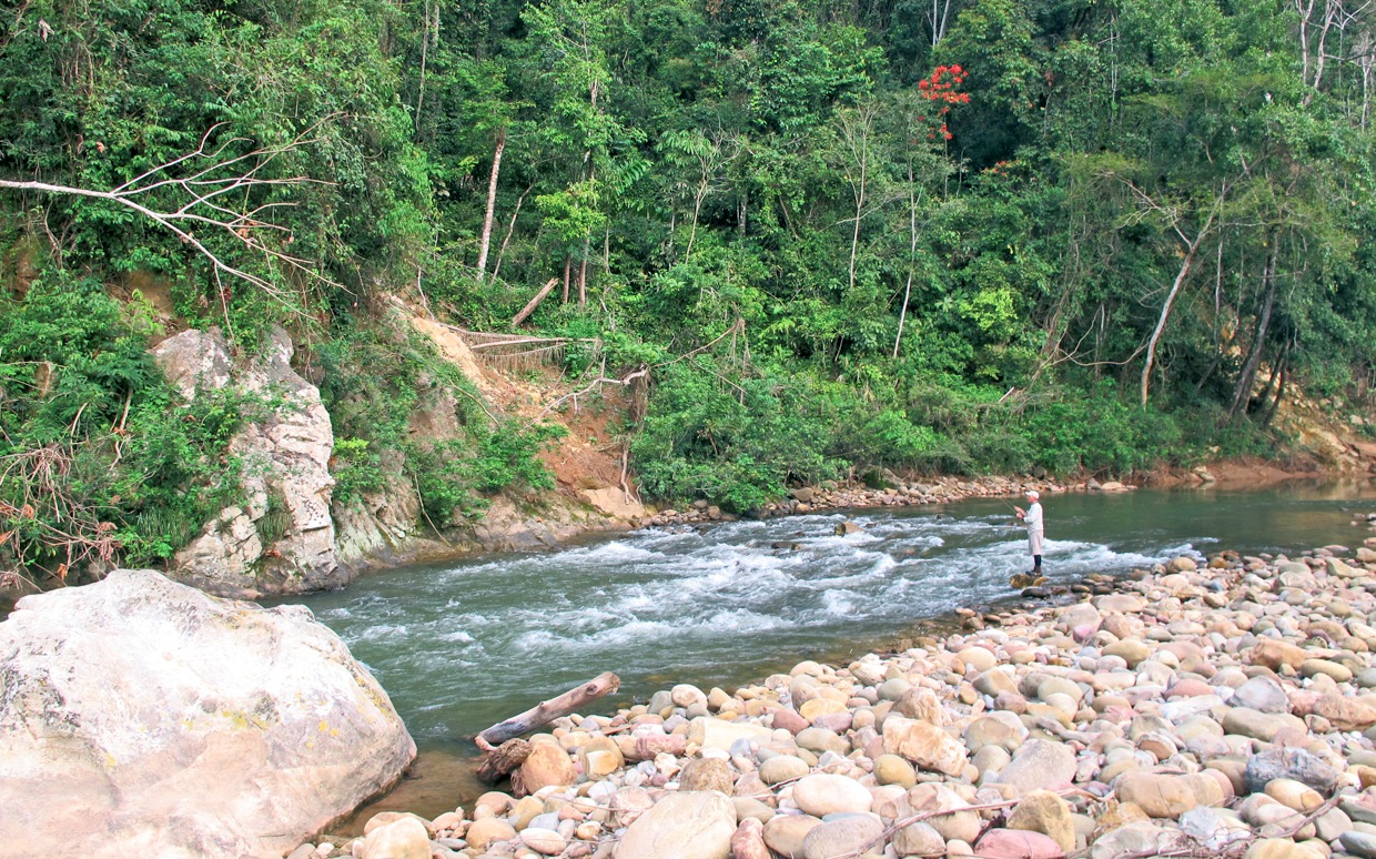 Pesca con mosca en la selva