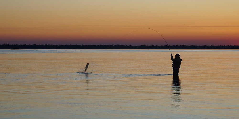 Diego Flores pescando
