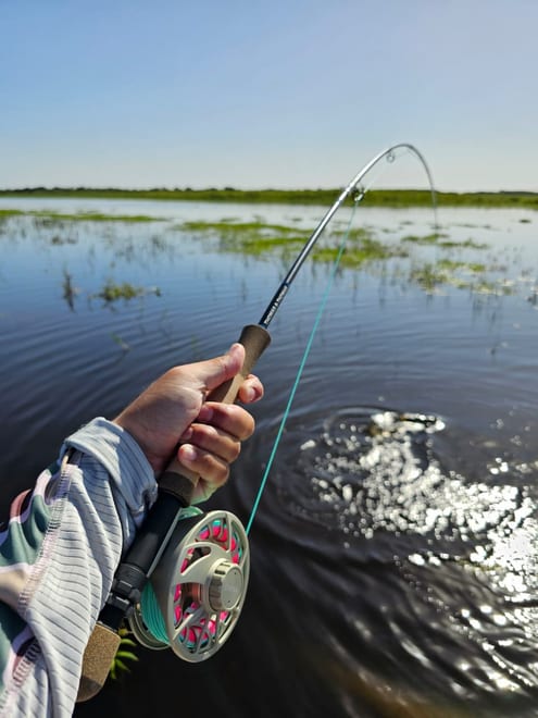 Pesca de dorado en Corrientes