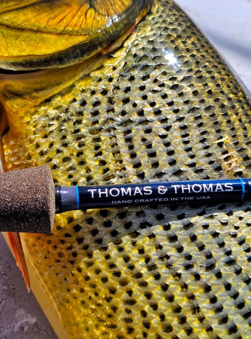Dorado y equipo de pesca
